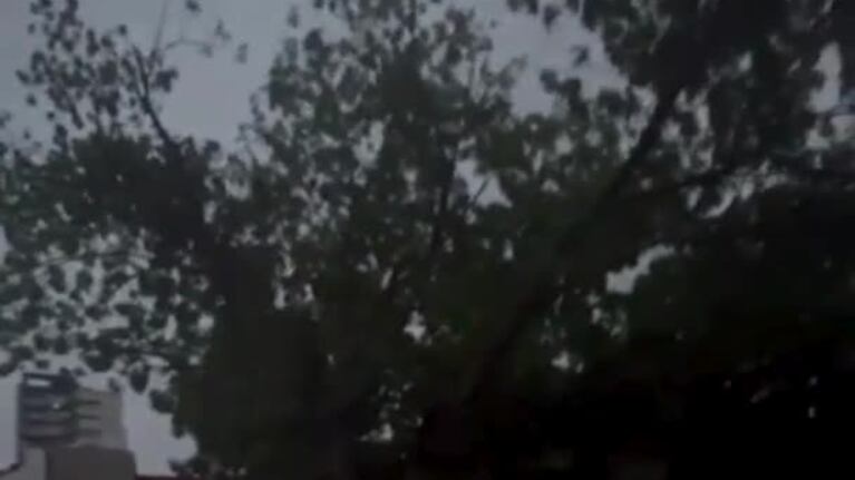 Así fue el temporal en Bahía Blanca