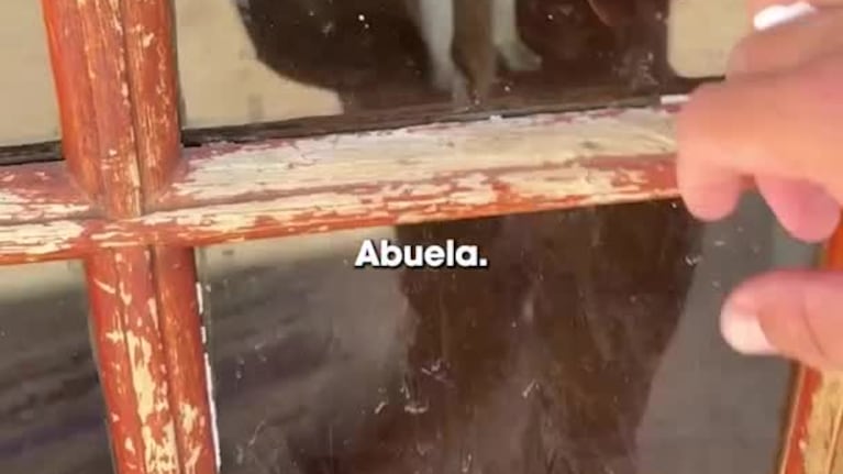 Raquelita, la simpática vaca cordobesa que es viral