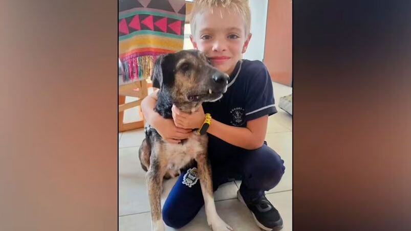 Del dolor a la alegría, la historia del niño de 8 años y su perro Roto