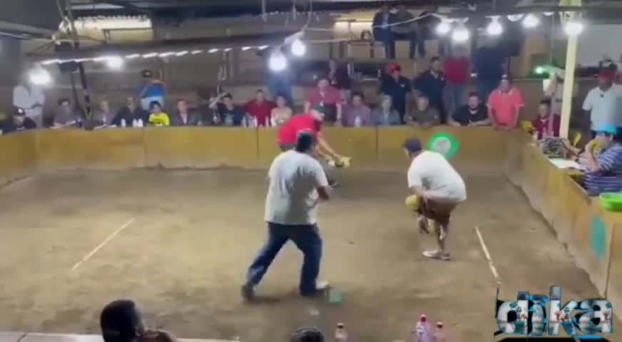 El ataque de un gallo de riña