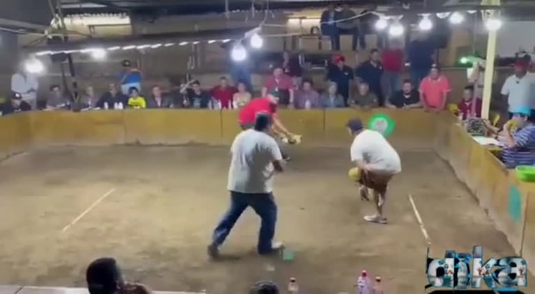 El ataque de un gallo de riña