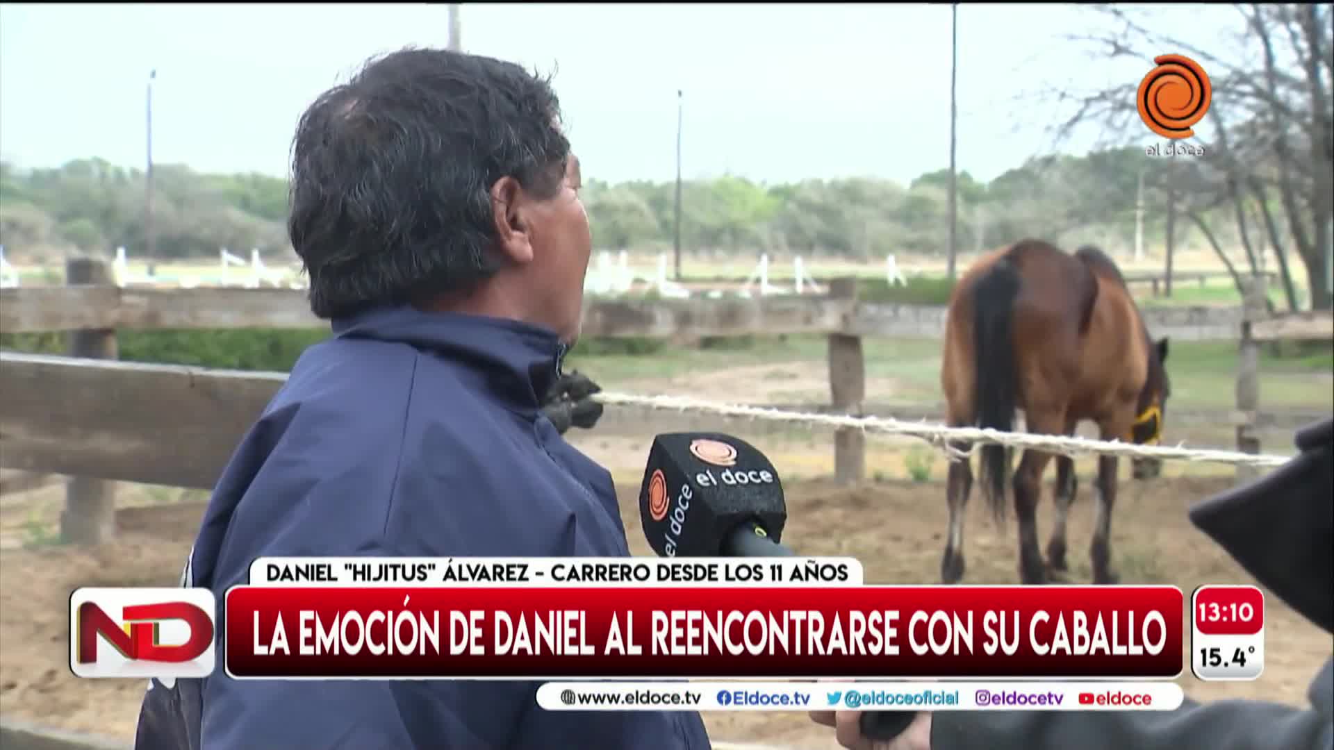 Un carrero se reencontró con su caballo y no pudo contener las lágrimas