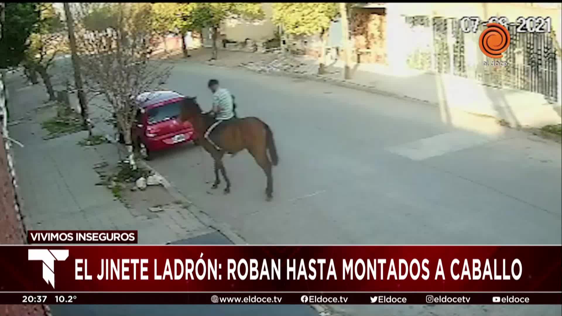 Ladrón a caballo: "Uno se lo toma con humor pero es lamentable"