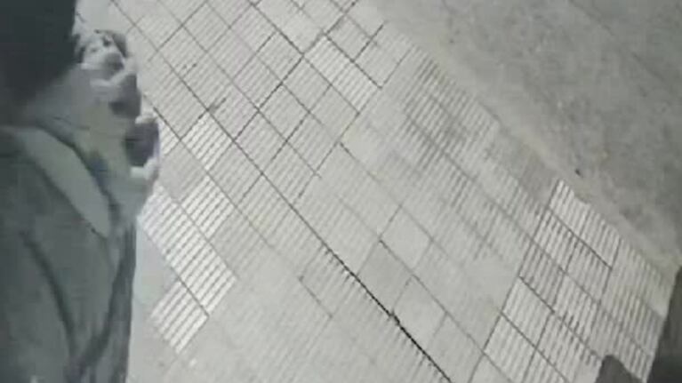 Rompió una puerta magnética para robar