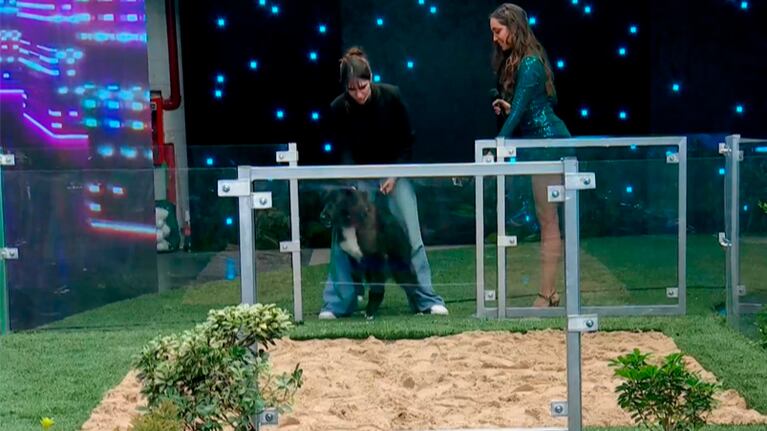 Pepino se la mandó en Buenas noches familia y ganó de arranque: “El más inteligente”