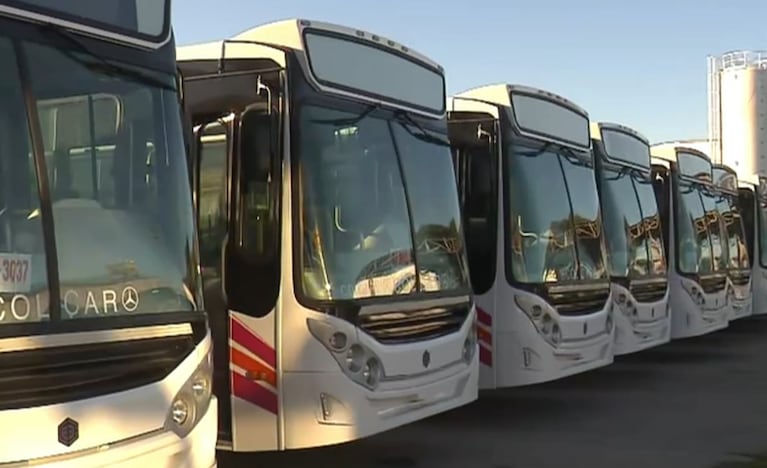 Llegaron los nuevos colectivos Sol Bus para el corredor 7: cuántos se suman y cómo son
