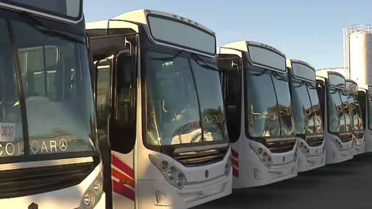 Llegaron los nuevos colectivos Sol Bus para el corredor 7: cuántos se suman y cómo son