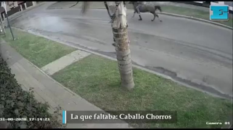 Video Placeholder