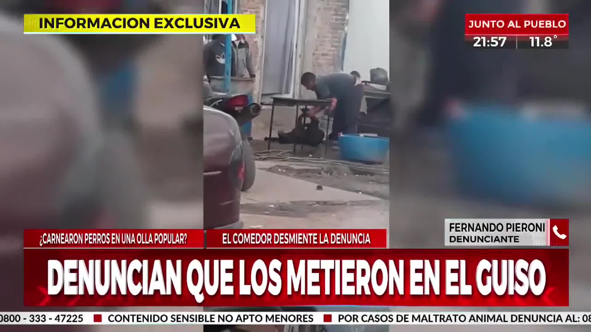 ¿Carnearon perros para una olla popular?