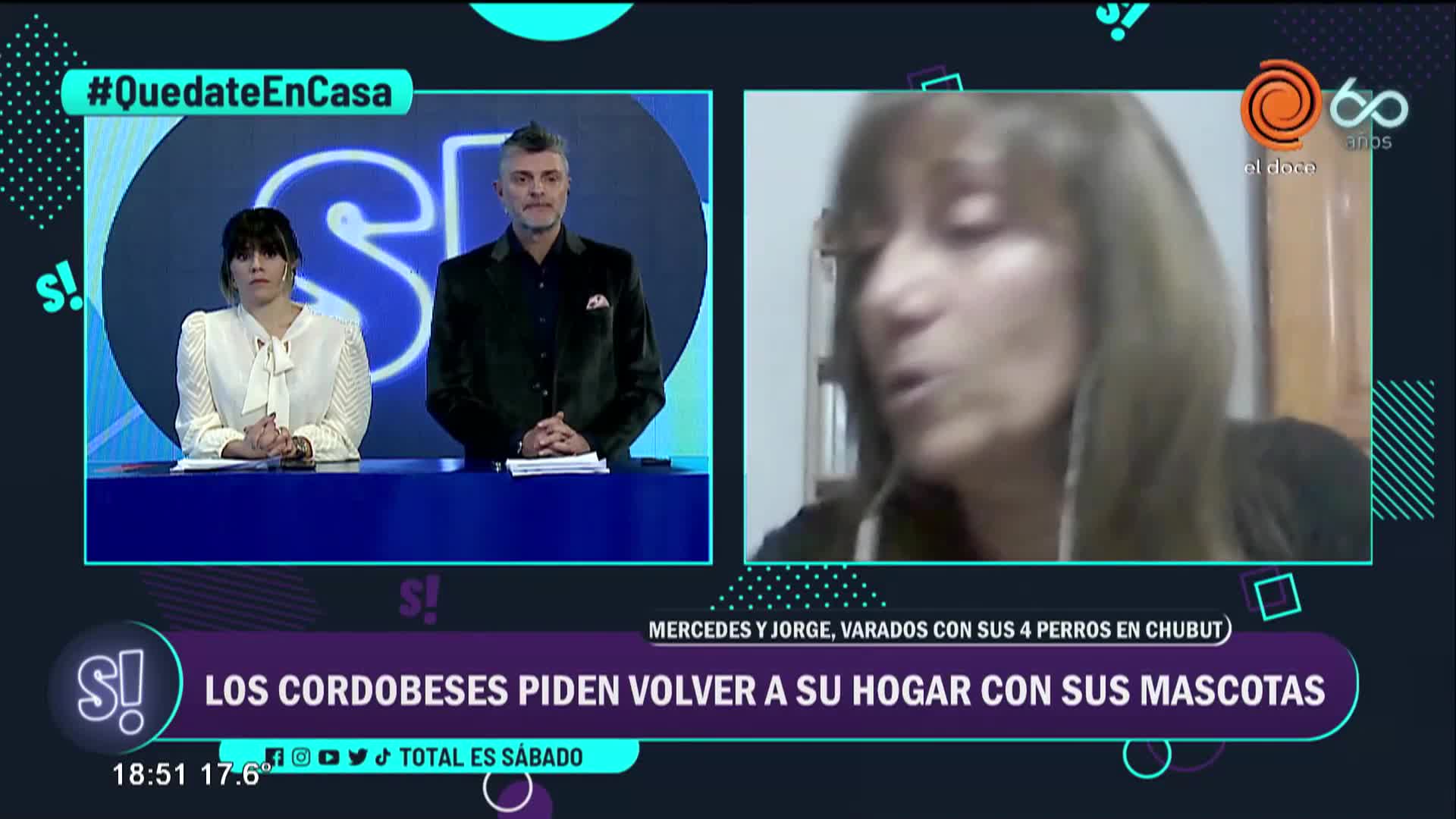 Están hace cinco meses en el sur y no pueden volver por sus perros