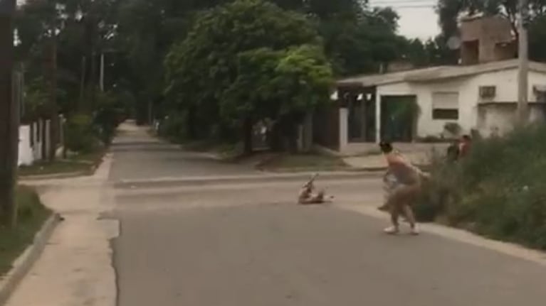Le tiró un piedrazo en la cabeza a una chica tras una discusión: el video del brutal ataque