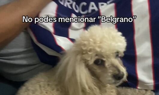 Teo, el perro de Talleres que se enoja si nombran a Belgrano