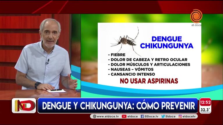 Diferencias y similitudes entre dengue y chikungunya