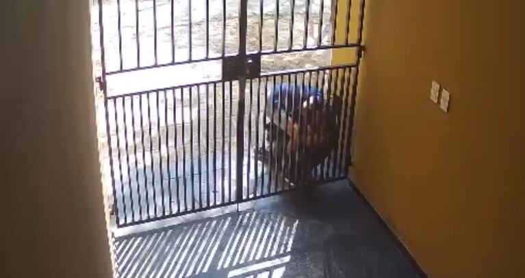 Video Placeholder