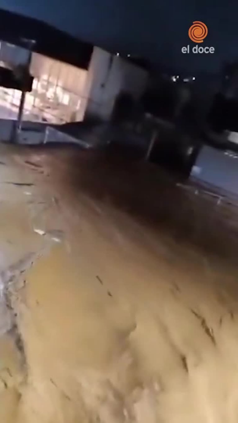 Chayanne subió al escenario a una fan y hubo baile