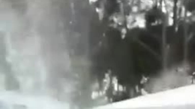 Tiraron un cordero a una pileta desde un helicóptero