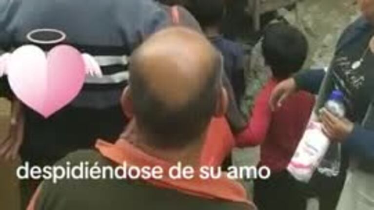 Un perro se subió al féretro de su dueño para despedirlo