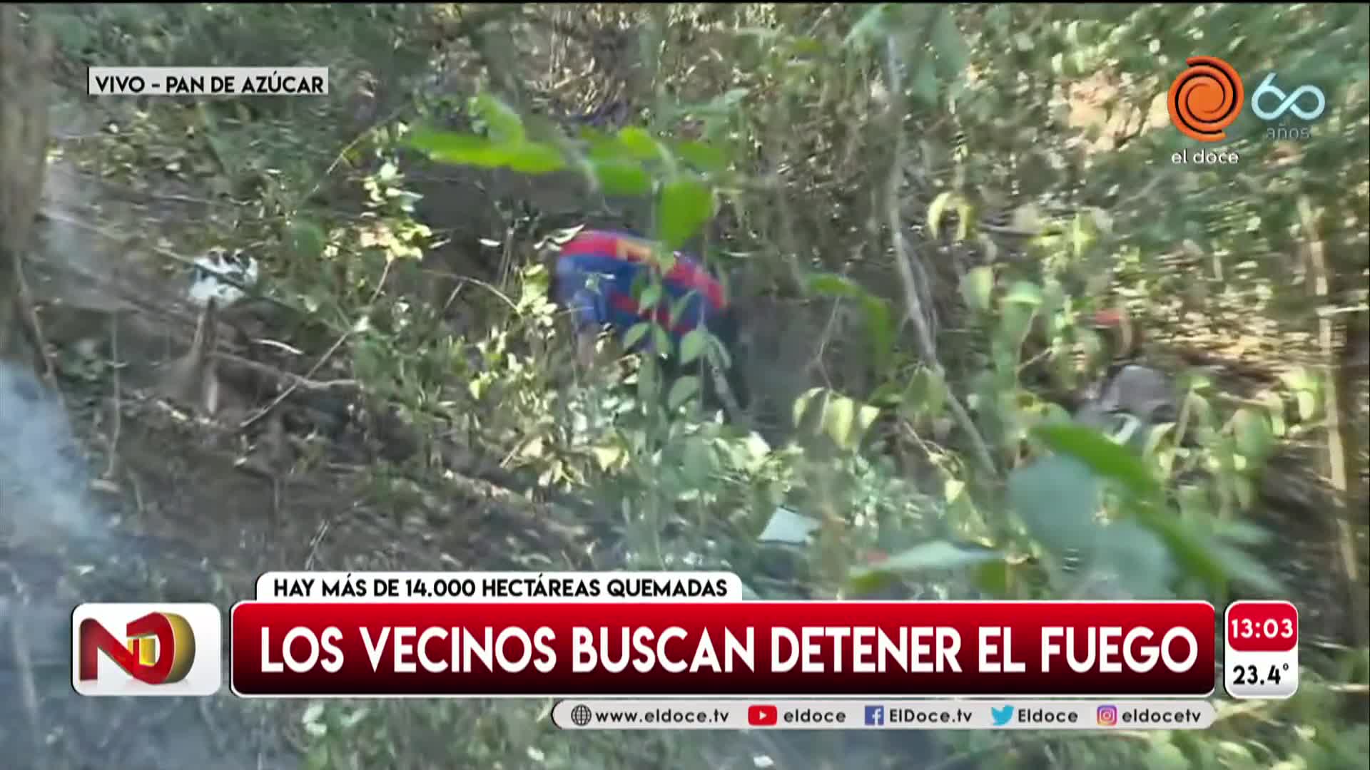 Video: vecinos intentan apagar el fuego de los incendios