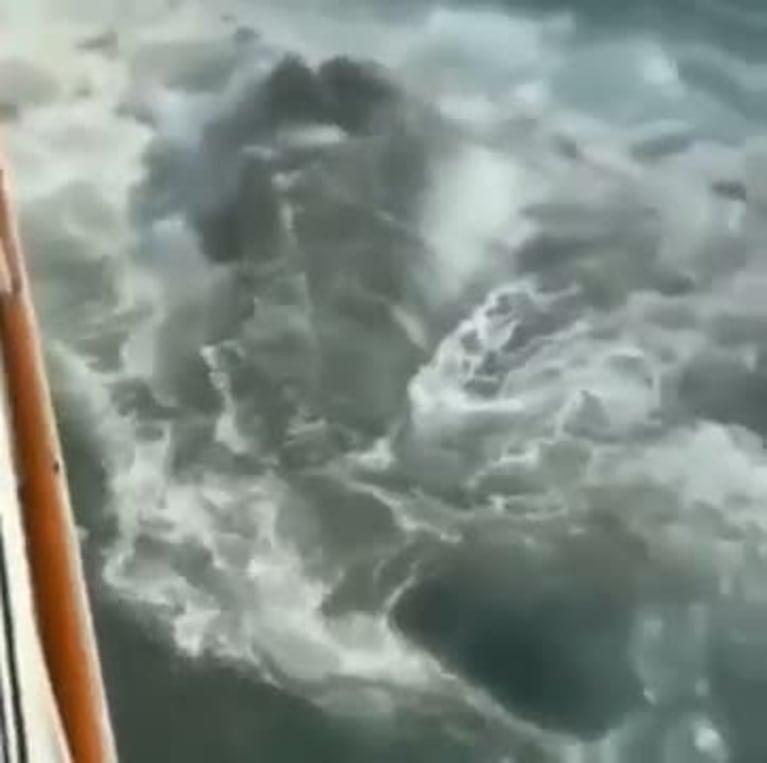 Un crucero estadounidense colisionó con un iceberg