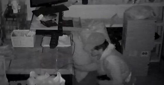 Nuevo ataque del falso naranjita: robó plata y el celular de un negocio de pleno centro