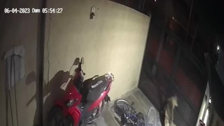 Un perro guardián evitó que robaran en una casa