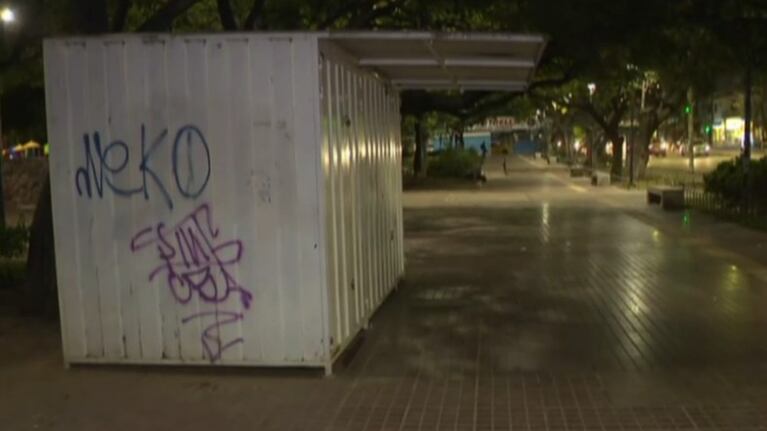 “Ató a los niños y los llevó arrastrando”: la versión de una feriante sobre el ataque de una mujer a dos niños