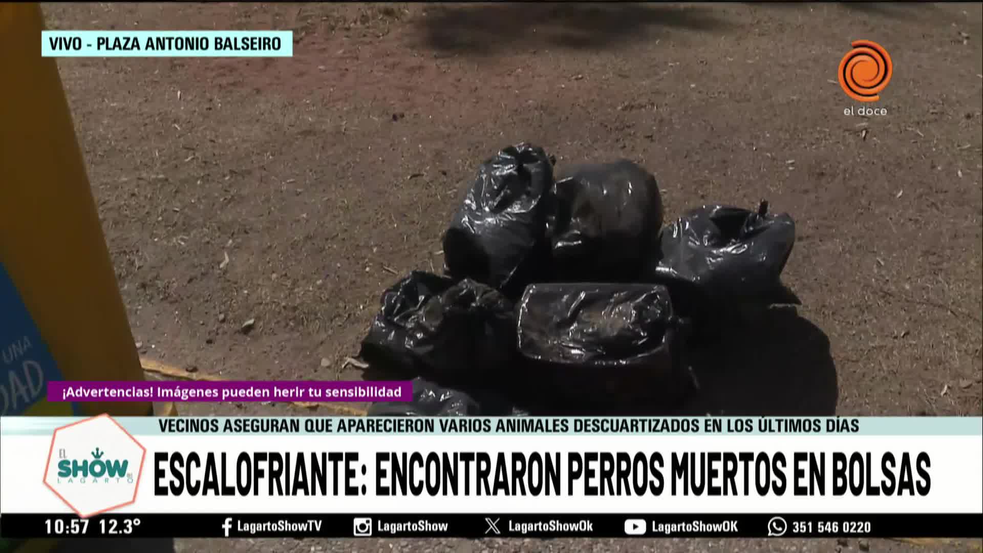 Tétrico hallazgo en una plaza cordobesa