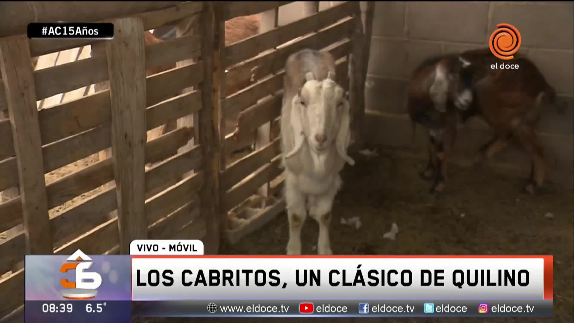 Los cabritos, un clásico de Quilino