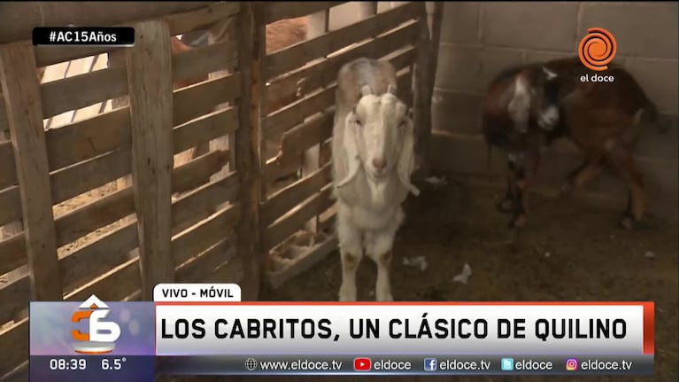 Los cabritos, un clásico de Quilino