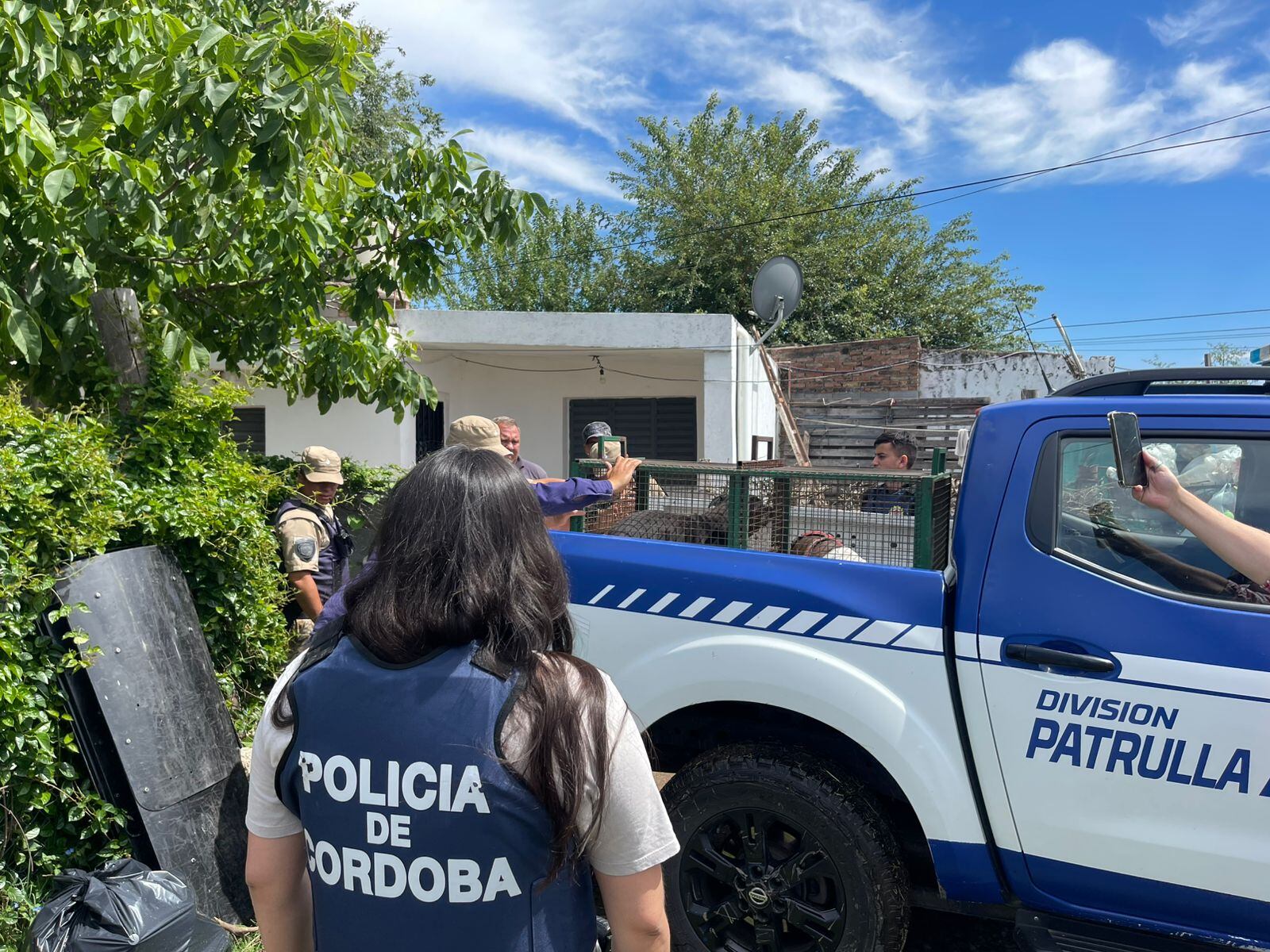 La Policía retiró a los tres perros que mordieron en la cabeza a un nene de 9 años