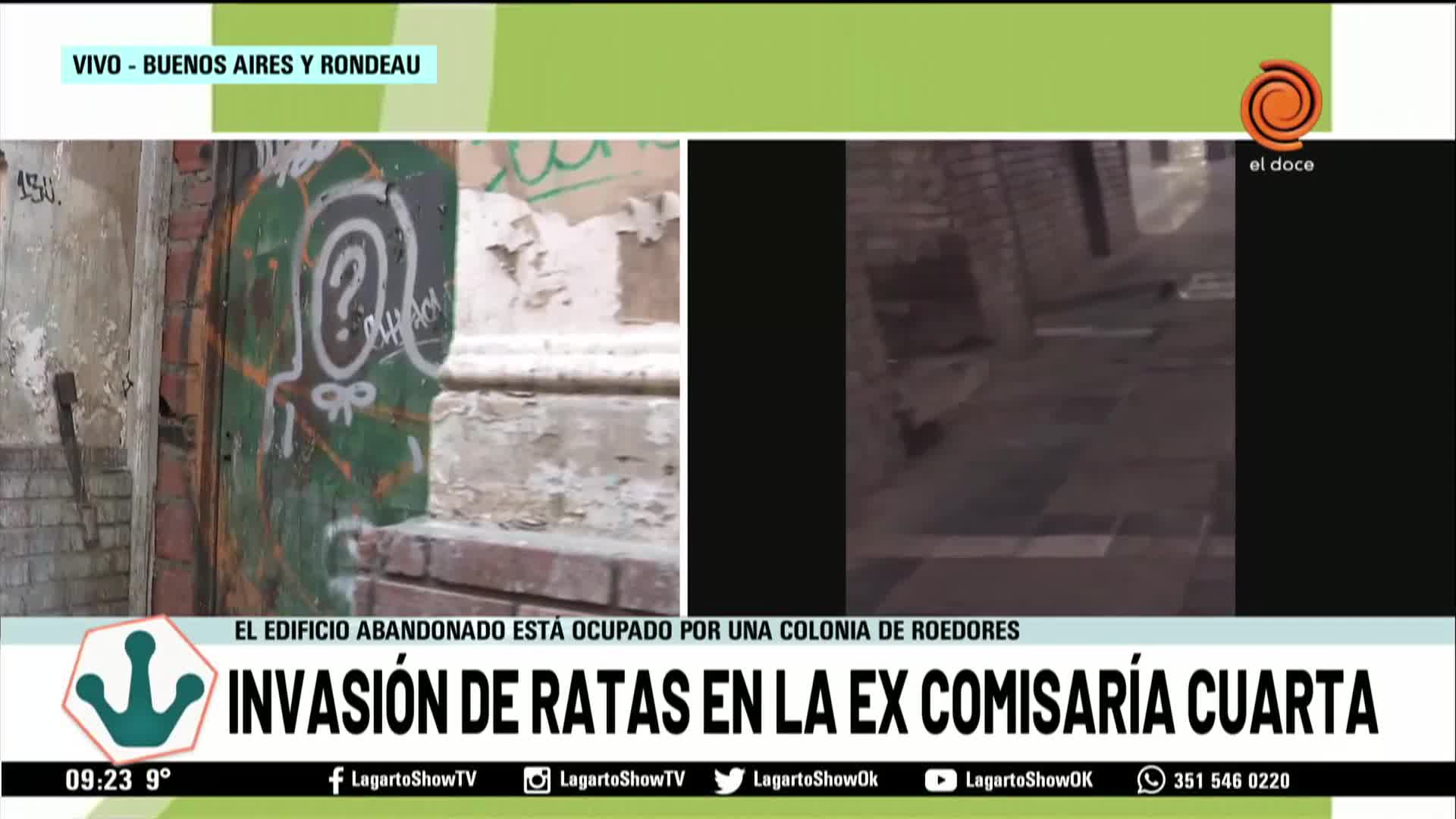 Invasión de ratas en la excomisaría cuarta en Nueva Córdoba