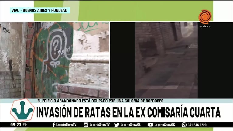 Invasión de ratas en la excomisaría cuarta en Nueva Córdoba