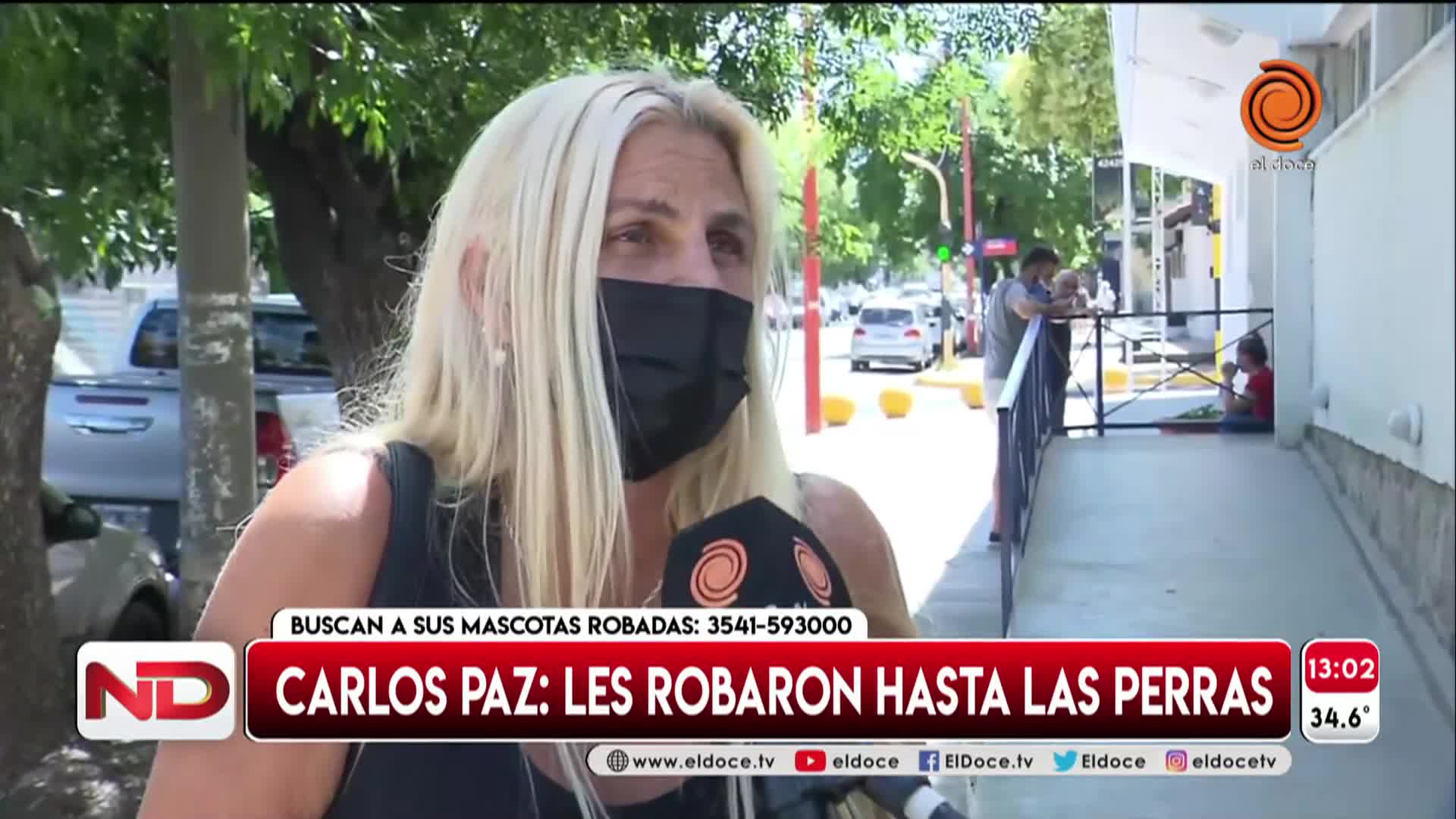 Les robaron hasta las perras y las buscan desesperados