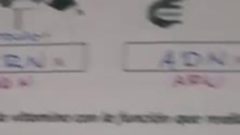 Corrigió las pruebas con memes