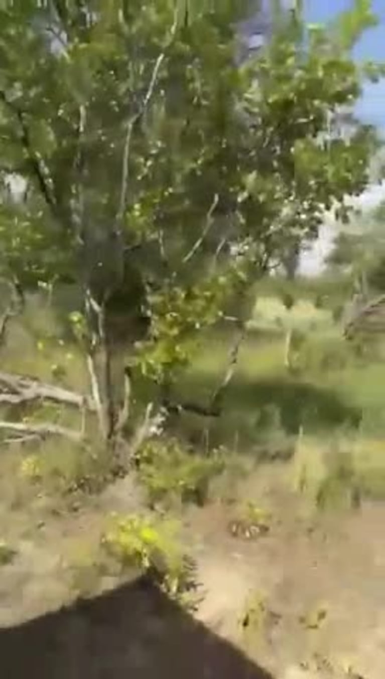 Video Placeholder