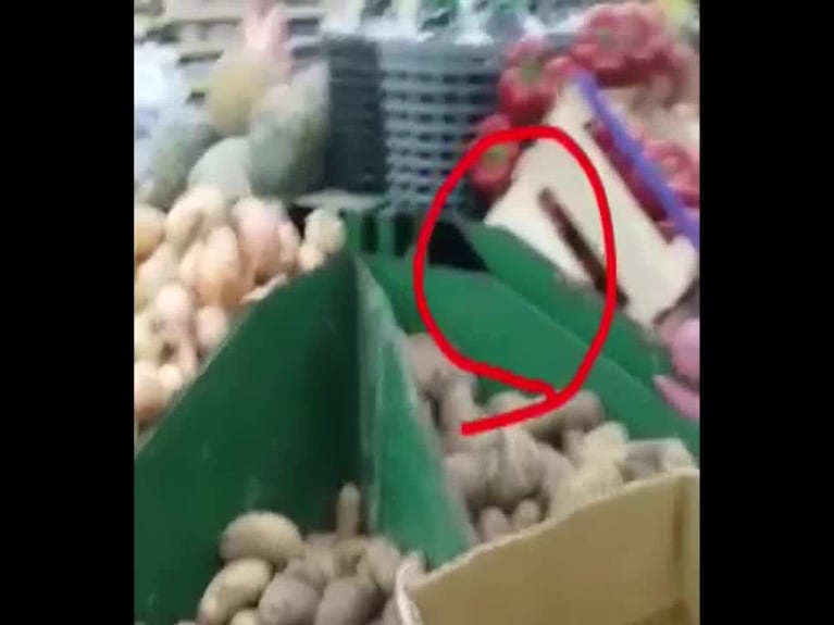 Ratas en un supermercado de La Calera