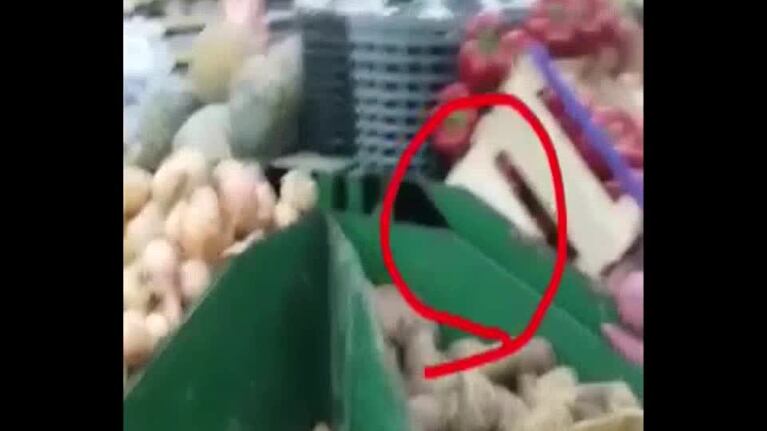Ratas en un supermercado de La Calera