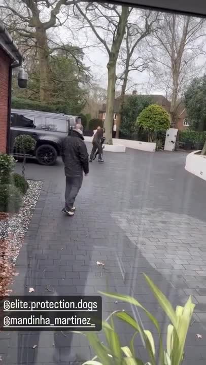 Así entrenan al perro del Dibu Martínez