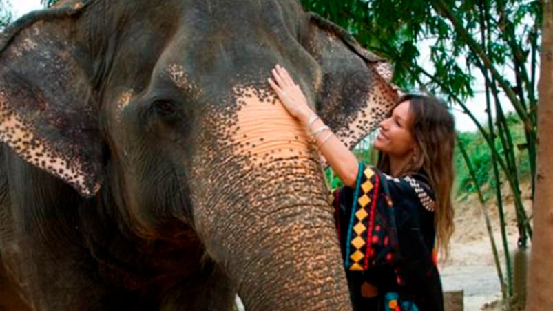 Pampita con elefantes en Tailandia