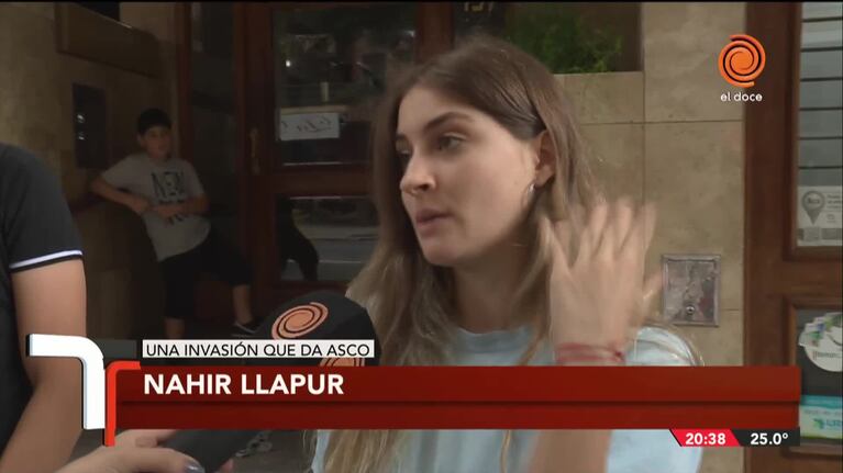 Denuncian que un edificio de Nueva Córdoba está plagado de ratas