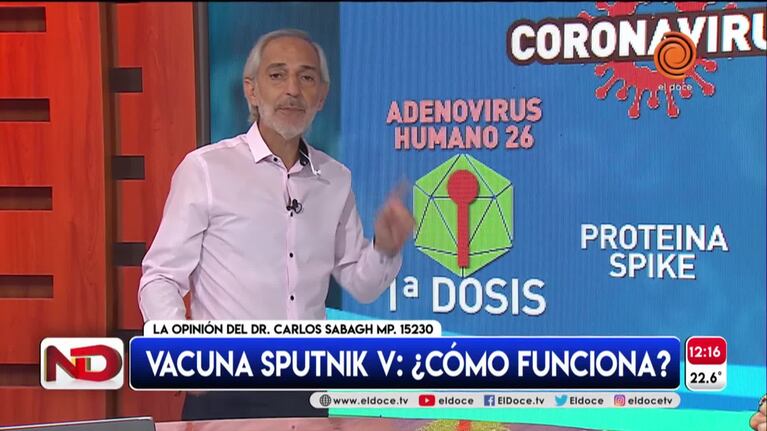 Así funciona la vacuna rusa Sputnik V: la explicación del Doc Sabagh