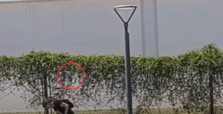 Video Placeholder