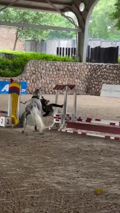 El accidente de Evangelina Anderson mientras hacía equitación