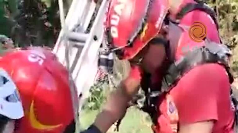 Emotivo rescate de tres cachorritos de un pozo