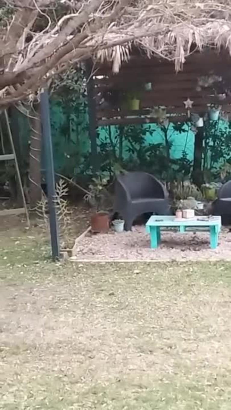 Video Placeholder