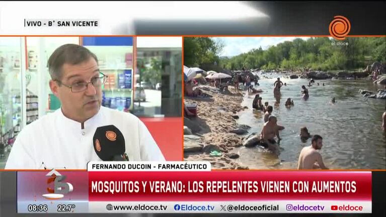 Los precios de los repelentes para combatir los mosquitos este verano