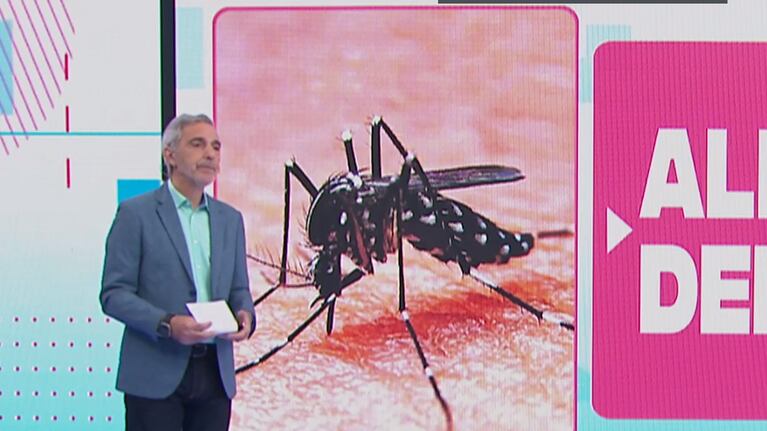 Cuando llega el pico del dengue a Córdoba