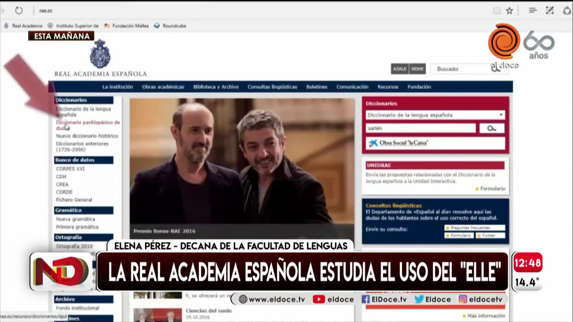 La RAE podría incluir el pronombre "elle": cuáles son los requisitos