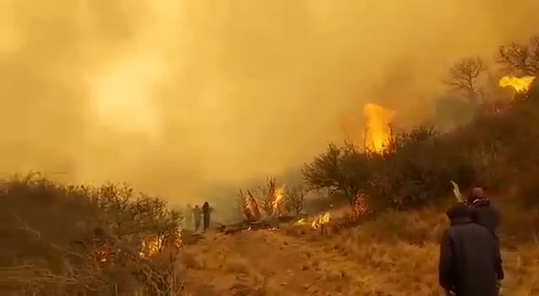 Bomberos luchan contra el avance del fuego en Caminiaga