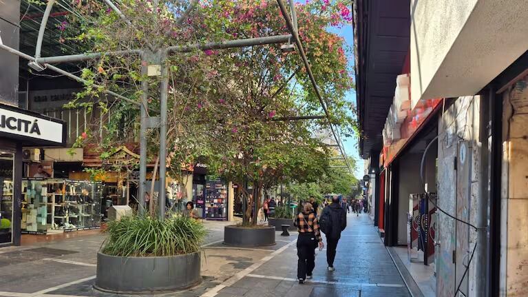 Cada vez más locales cerrados en Córdoba: el relevamiento por el centro y un barrio de la ciudad